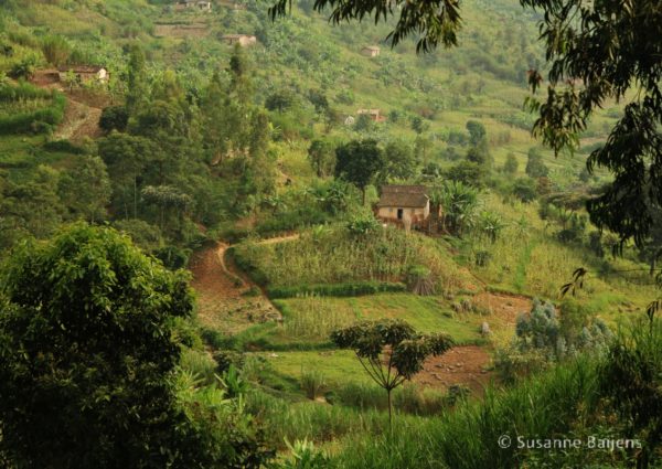 Congo Nile trail Rwanda